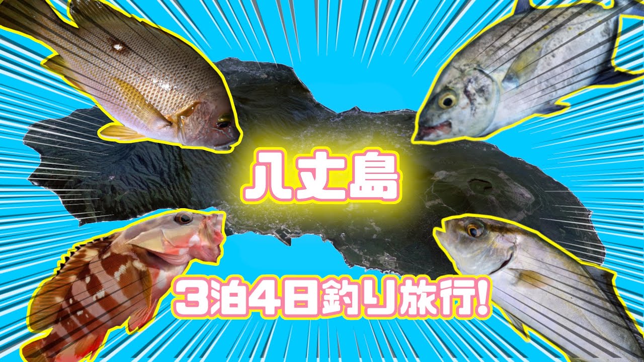 離島で釣りキャンプ🐢!【東京都八丈島】