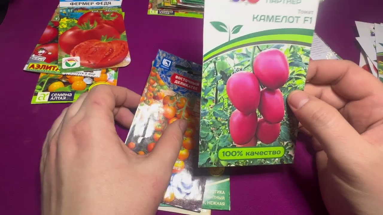 Выбираю семена томатов на 2026 год #shortvideo #семена #томаты #помидоры #огород #семенатоматов #сад