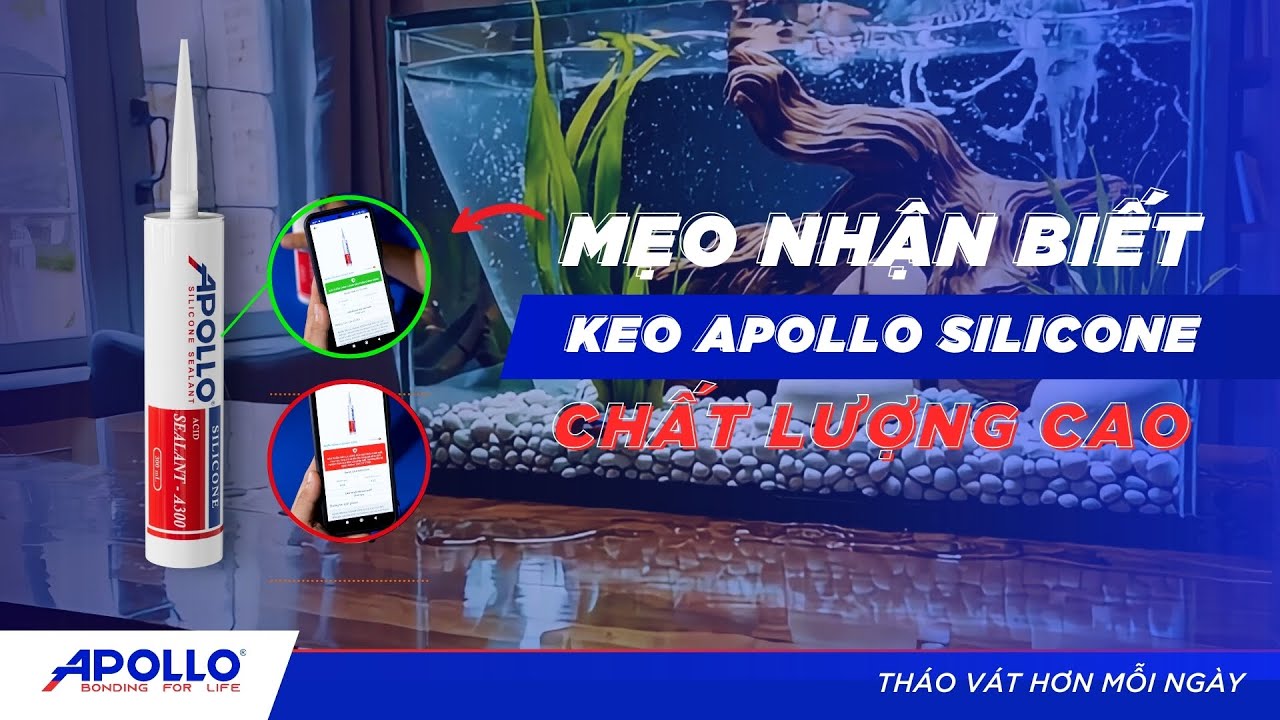 Hướng dẫn c&aacute;ch ph&acirc;n biệt keo THẬT -  GIẢ với Apollo Silicone  | Th&aacute;o v&aacute;t hơn mỗi ng&agrave;y