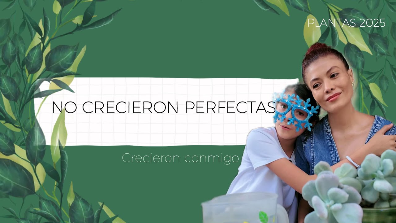 Mis plantas favoritas del 2025 NO son las más BONITAS… son las que me enseñaron a seguir💪🌿👩‍🌾❤