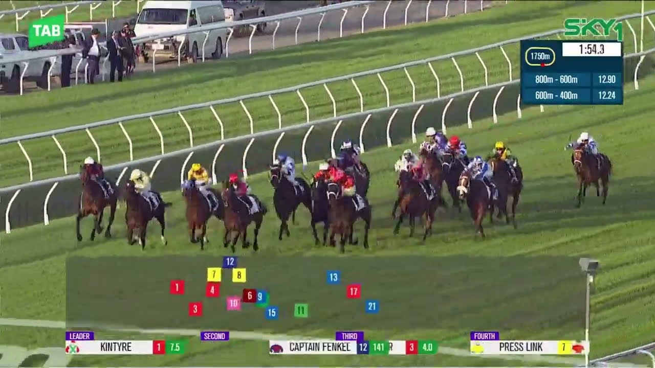 Rough Habit Plate 2024 - TANNHAUSER (3YO OPEN SW G3) Group 3 Doomben 18 May