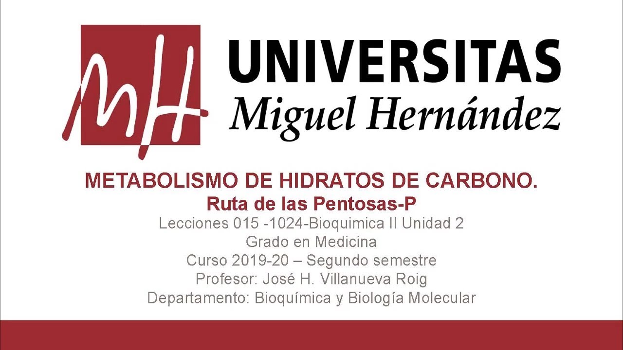 U2-Lecc015-Pentosas-P (Umh1024 2019-20)