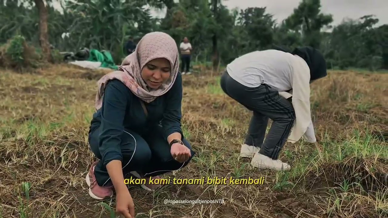 SAE MENANGA BARIS