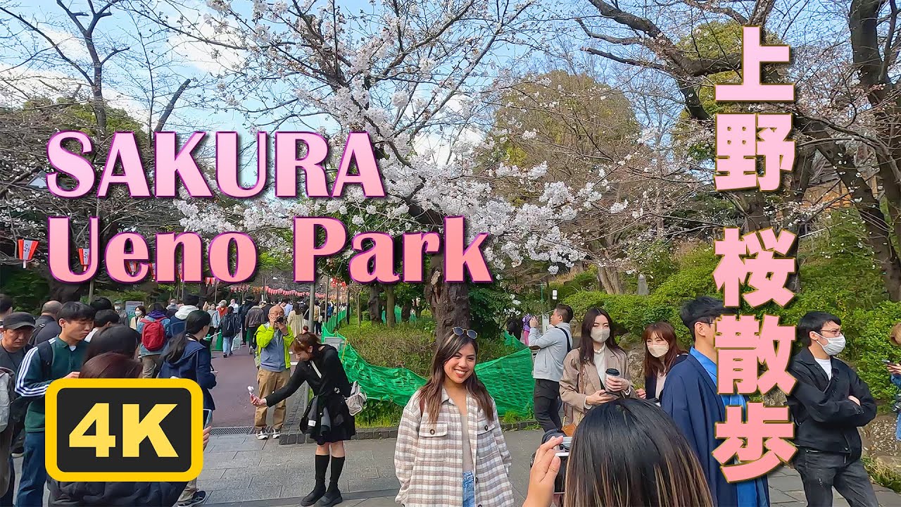🌸Tokyo Sakura viewing walk in Ueno Park🌸上野の桜旅🌸