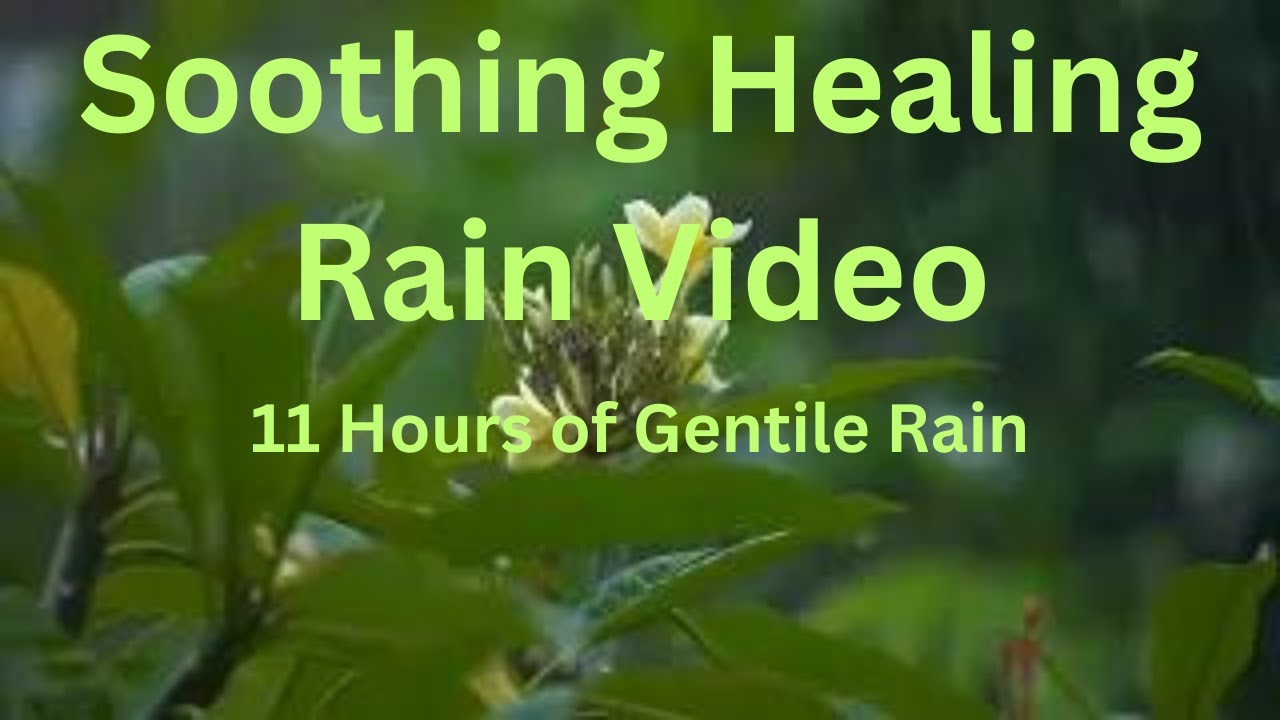 Soothing Healing Rain Video. Please LIKE & SUBSCRIBE & Hit the BELL
