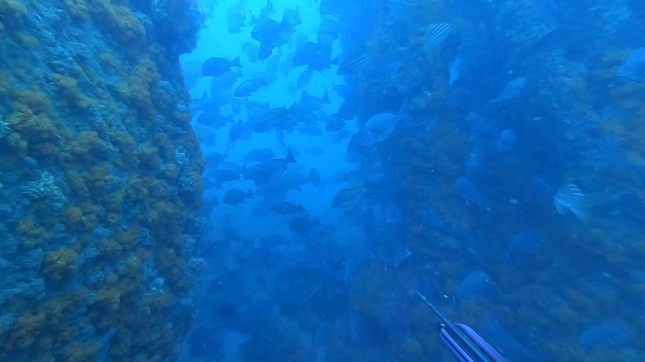 Pesca profunda a peso variable con Javier Camacho Lobo del equipo Mares