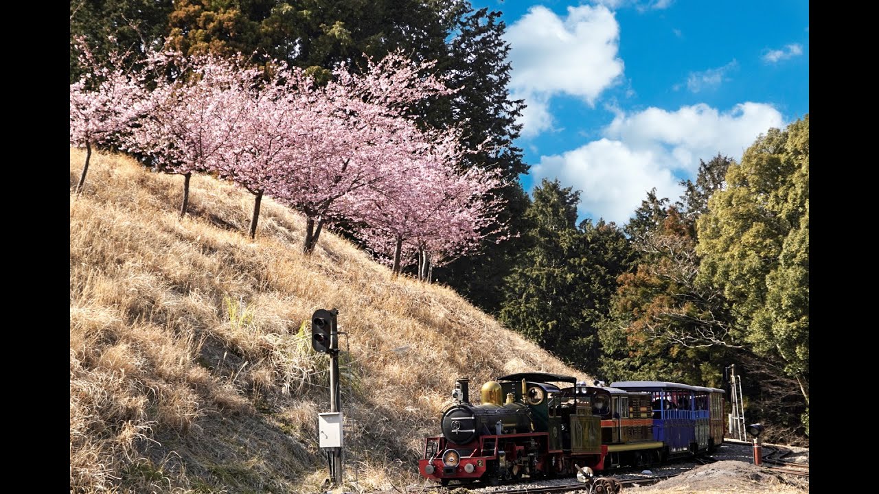 復活！ロムニー鉄道