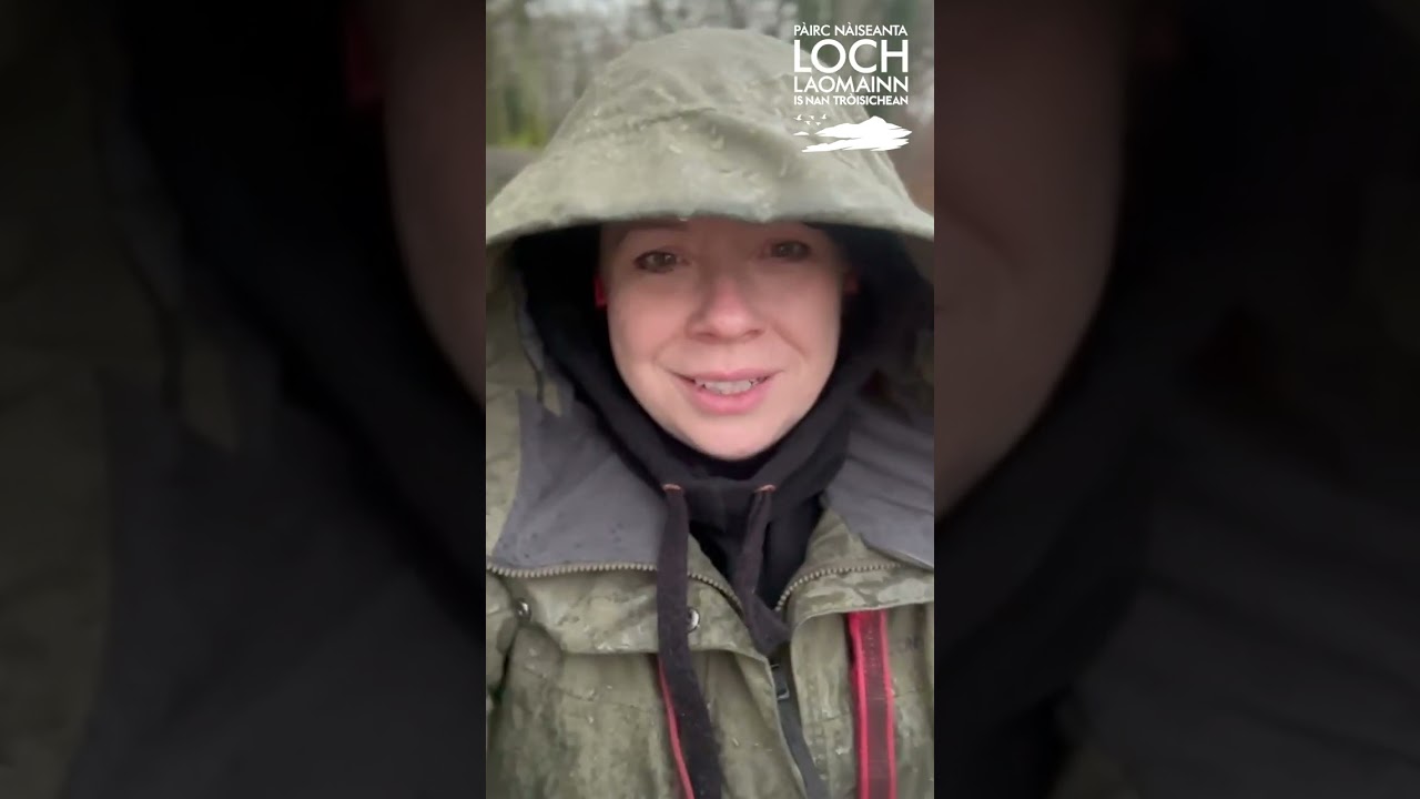 Learn to say 'it is raining' in Gaelic