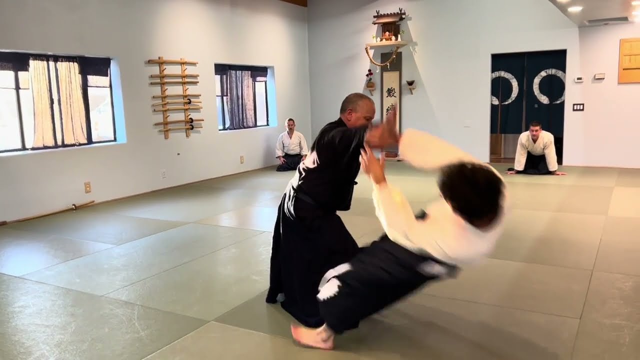 Aikido: Kokyu (Projection) Demonstration
