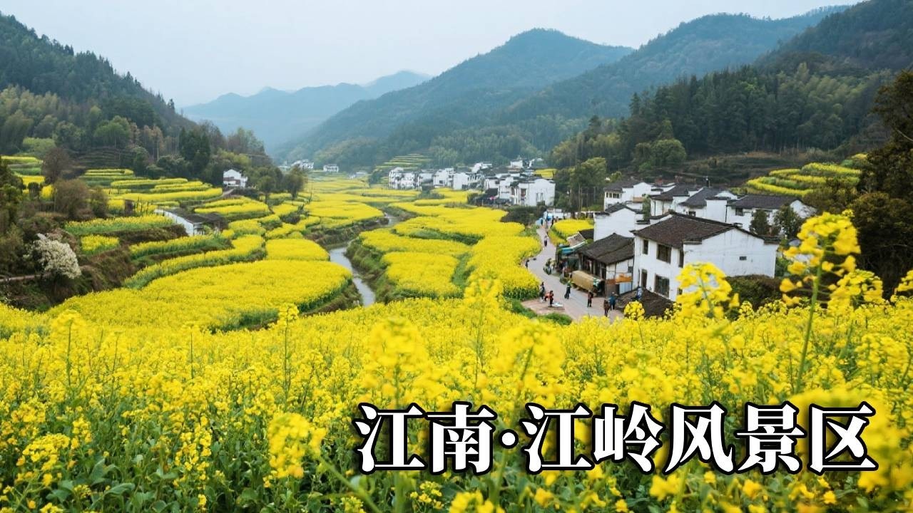 江南之旅——江岭风景区，这里有万亩花田，看油菜花来这就够了！【行走世界的北京老刘】