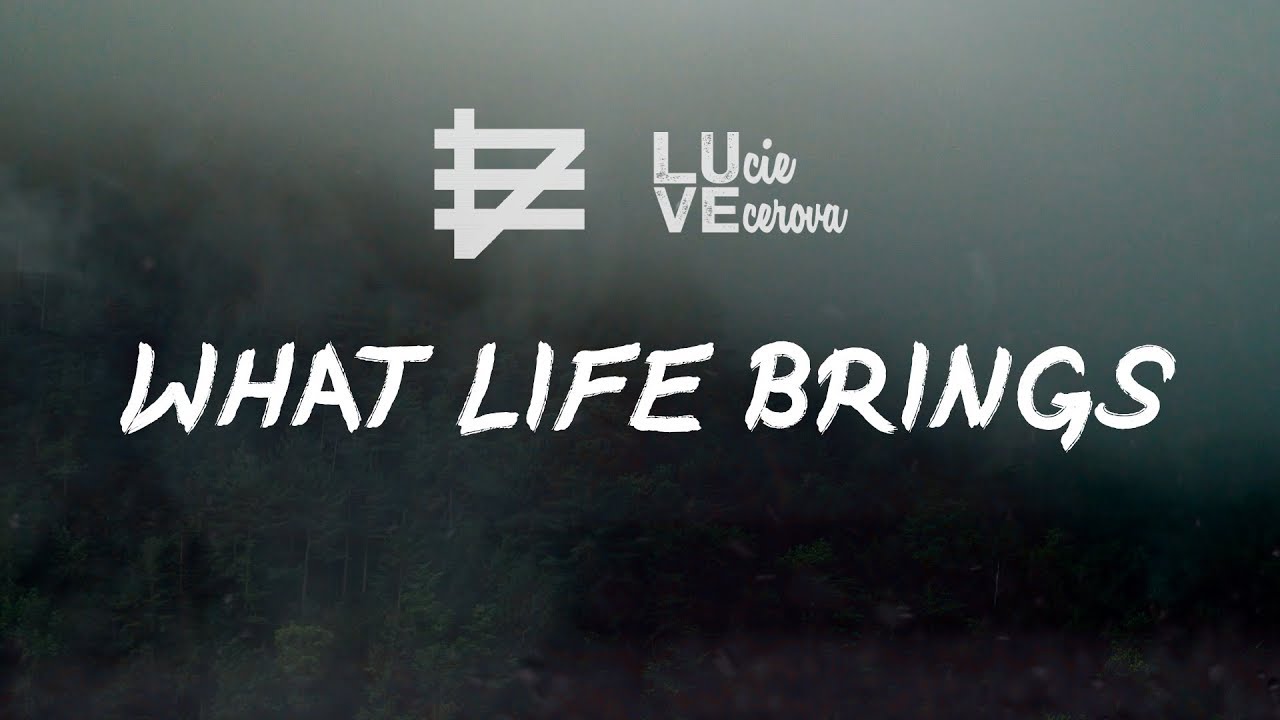 Dusko the God - What Life Brings feat. Lucie Vecerova (Official Lyric Video)