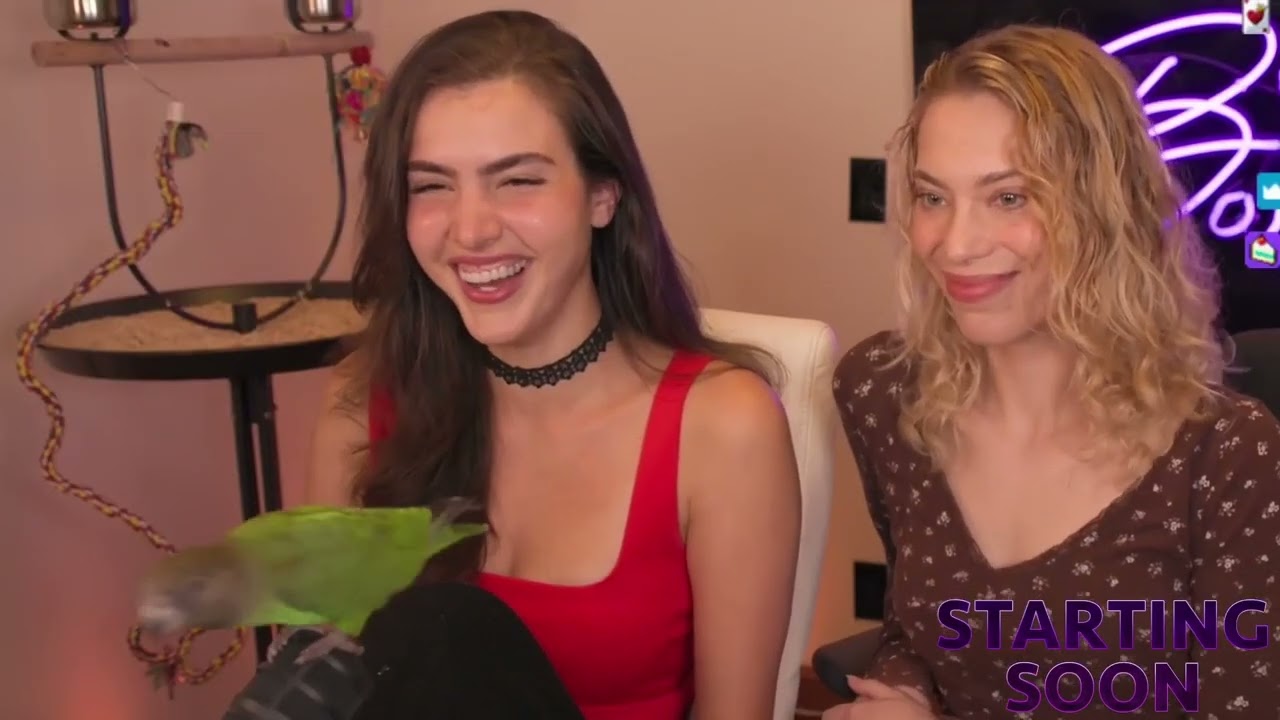 BotezLive 03/28/25 Stream VOD - stream before inZOI streamathon