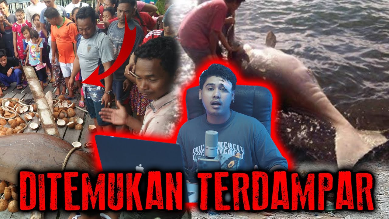 KEBENARAN TENTANG PUTRI DUYUNG SETELAH TERDAMPAR DI KOTA INI