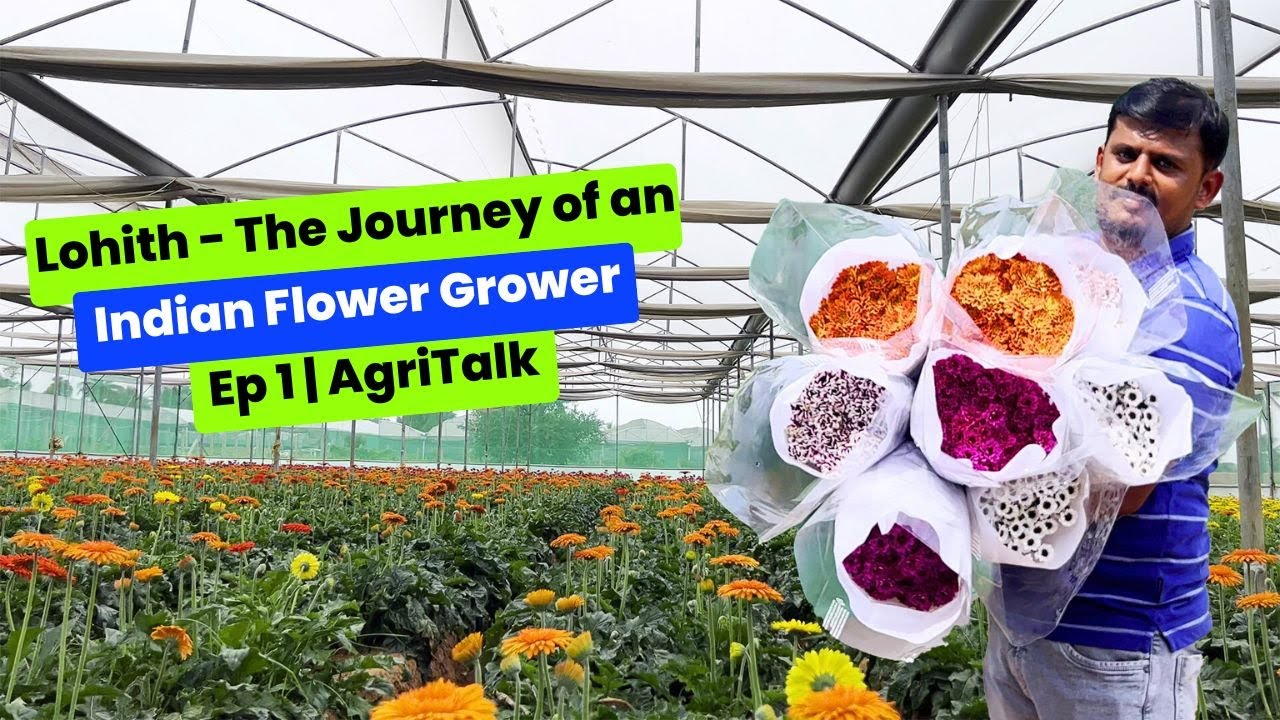 Lohith - The Journey of an Indian Flower Grower -  Ep 1 | AgriTalk