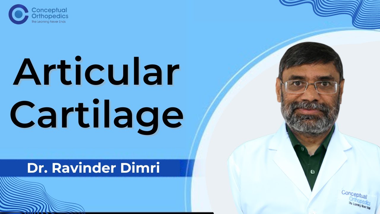 Articular Cartilage by Dr. Ravinder Dimri