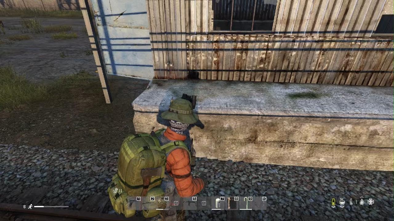 DayZ_20260224193953