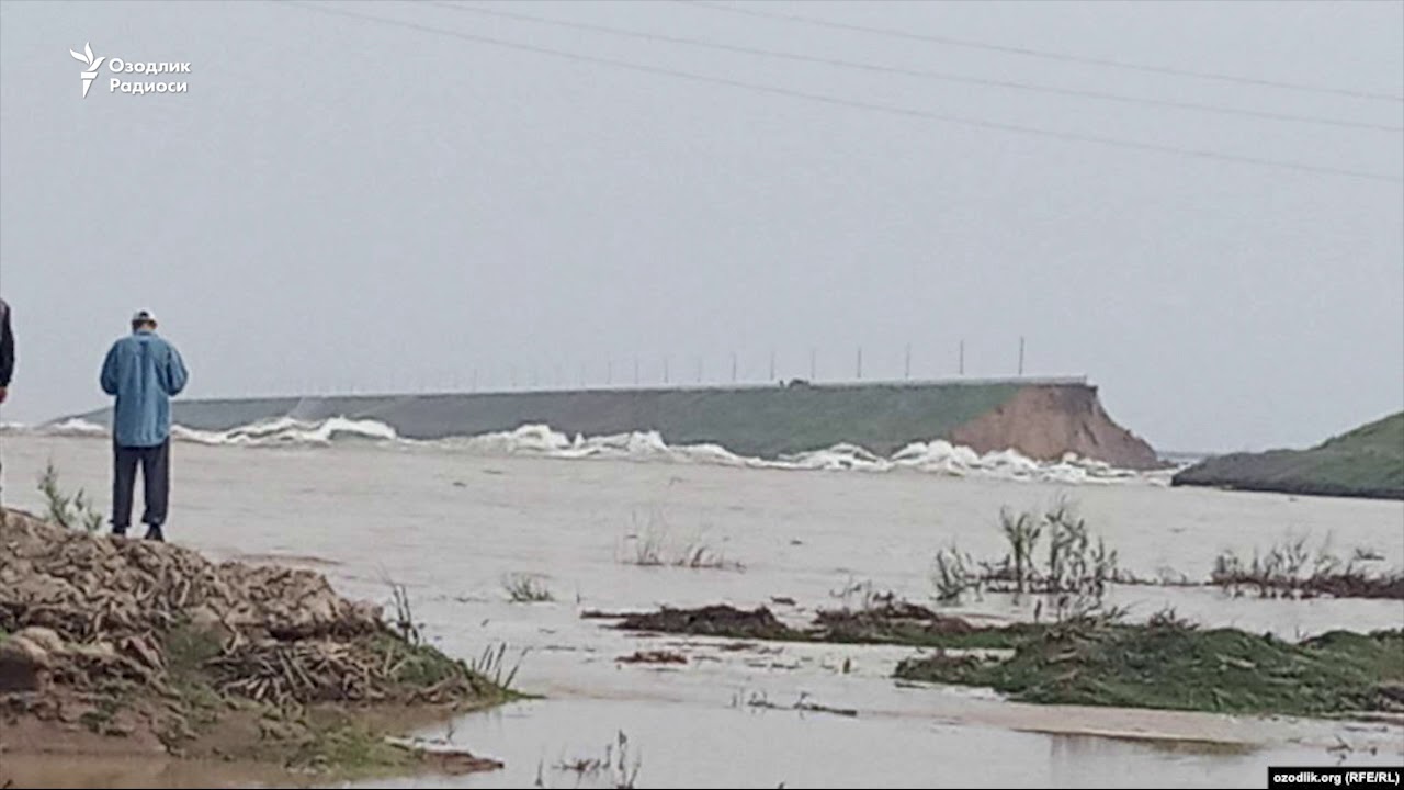 ДХХ Сардоба тўғони ўпирилишига лаққа балиқлар сабаб бўлганига оид версияни ҳам ўрганмоқда