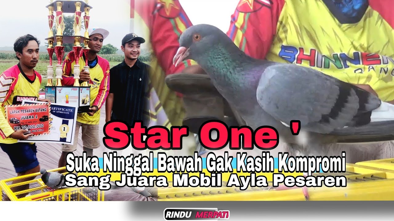 Istimewa💥Dari Awal Aksinya Bikin Penonton Rame |Edisi Star One Sang Juara Mobil Ayla