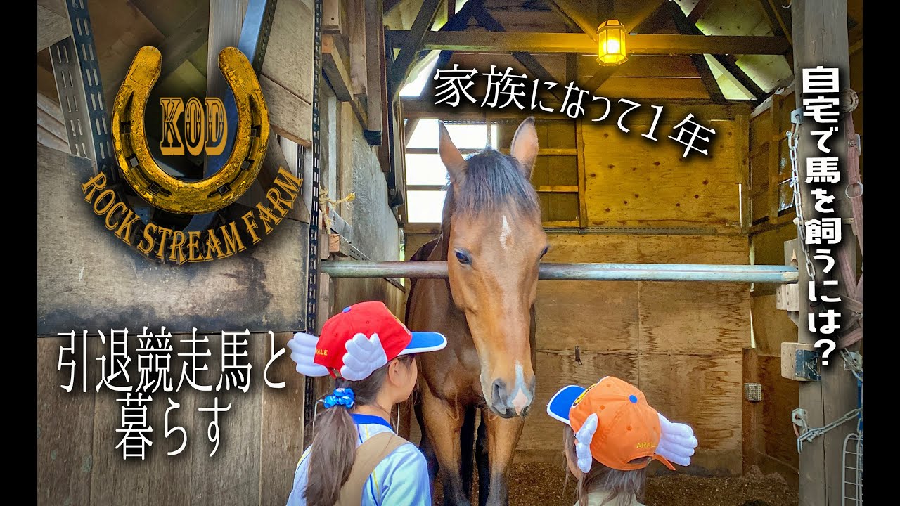 引退競争馬を自宅で飼うには？ ダイヤの誕生日／1st Anniversary with Diamond Vol.41【Rock Stream Farm】