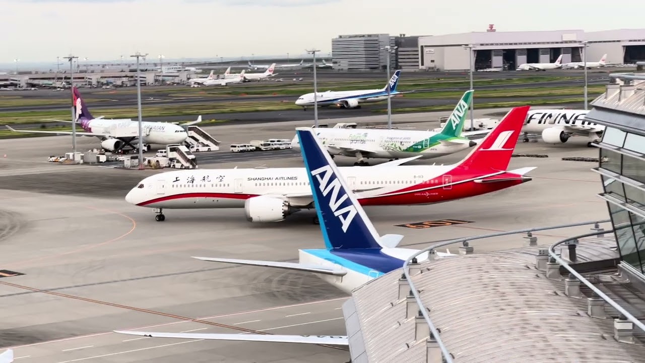 Flights spotting at Haneda Airport #japan #Hanedaairport #flights #ANA