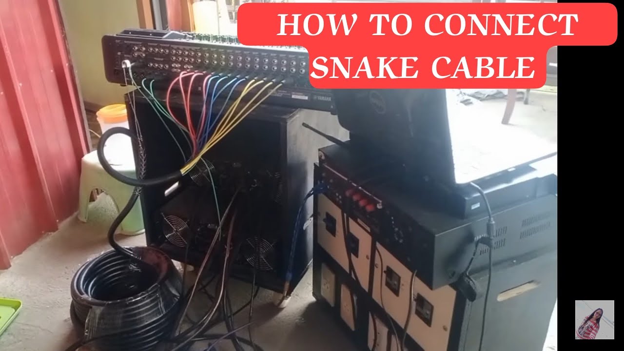 HOW TO CONNECT SNAKE CABLE TO AMPLIFIER AND HOW TO UNPLUG | EllenPh Music #snakecable #amplifier