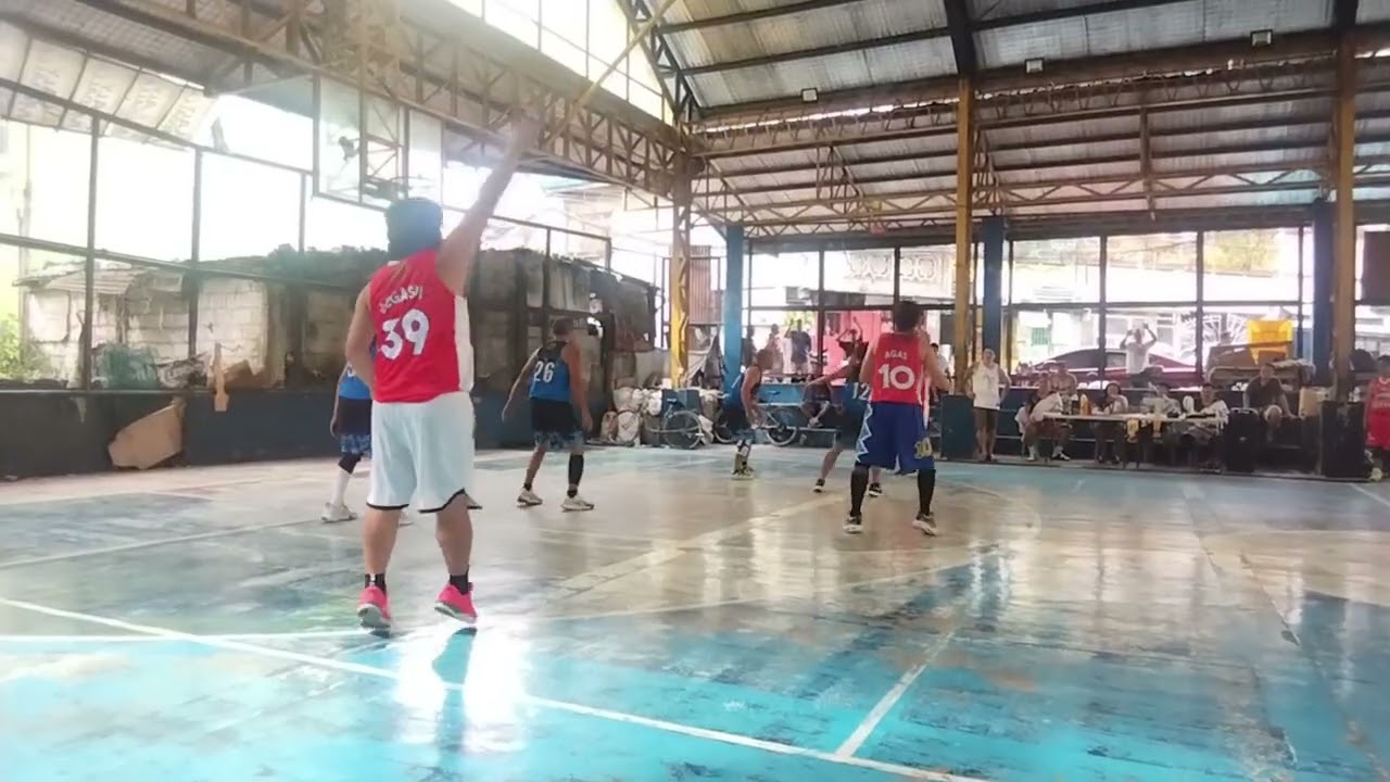 Lions vs Tigers