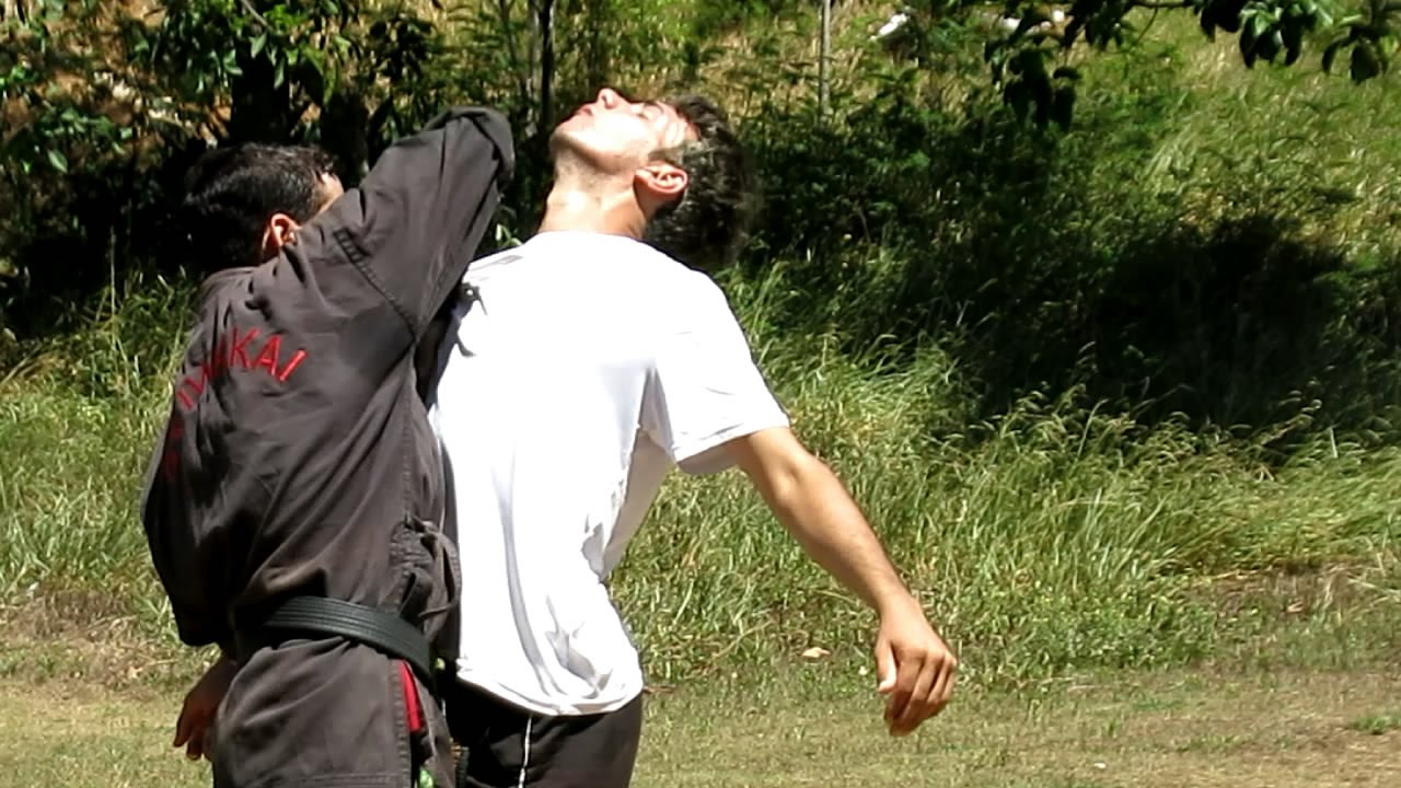 Diego Thomy - Técnicas de Combate e Treinamento (Artes Marciais) Fight #7