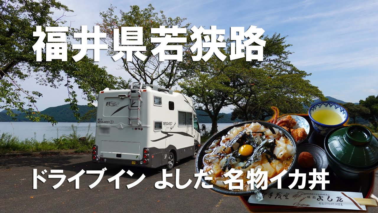 【名物イカ丼】若狭のドライブインよしだのイカ丼はコリコリ絶品でした♪三方五湖、福井の海を満喫！わんことキャンピングカーの旅【車中泊】