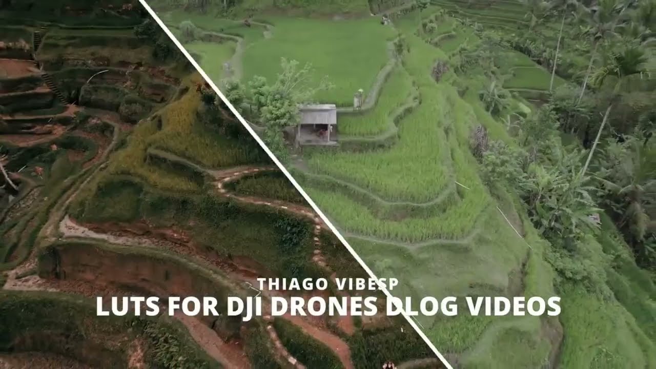 DJI D-Log & D-Log M Color Grading Made Easy: 2-in-1 LUTs Pack