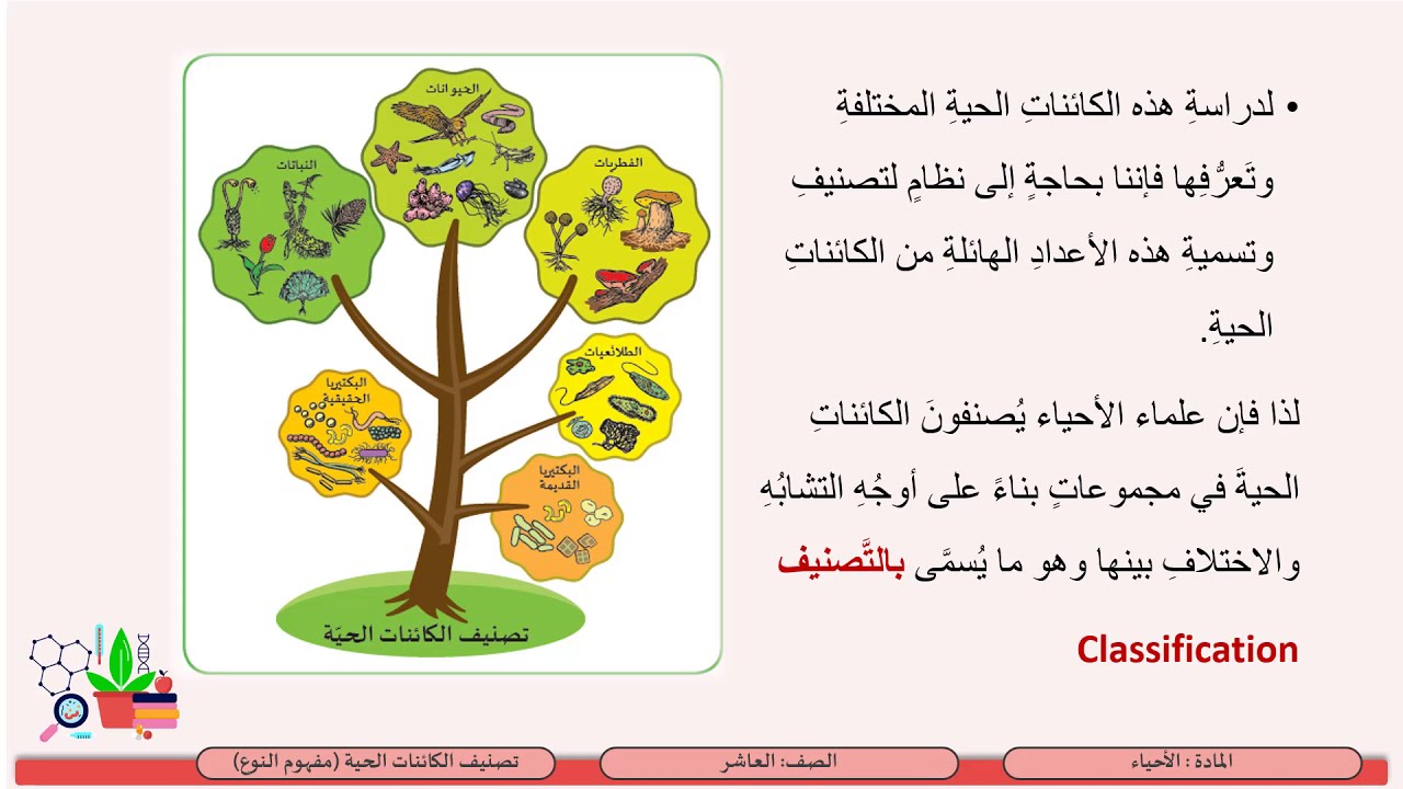 الصف العاشر     الأحياء   مفهوم النوع