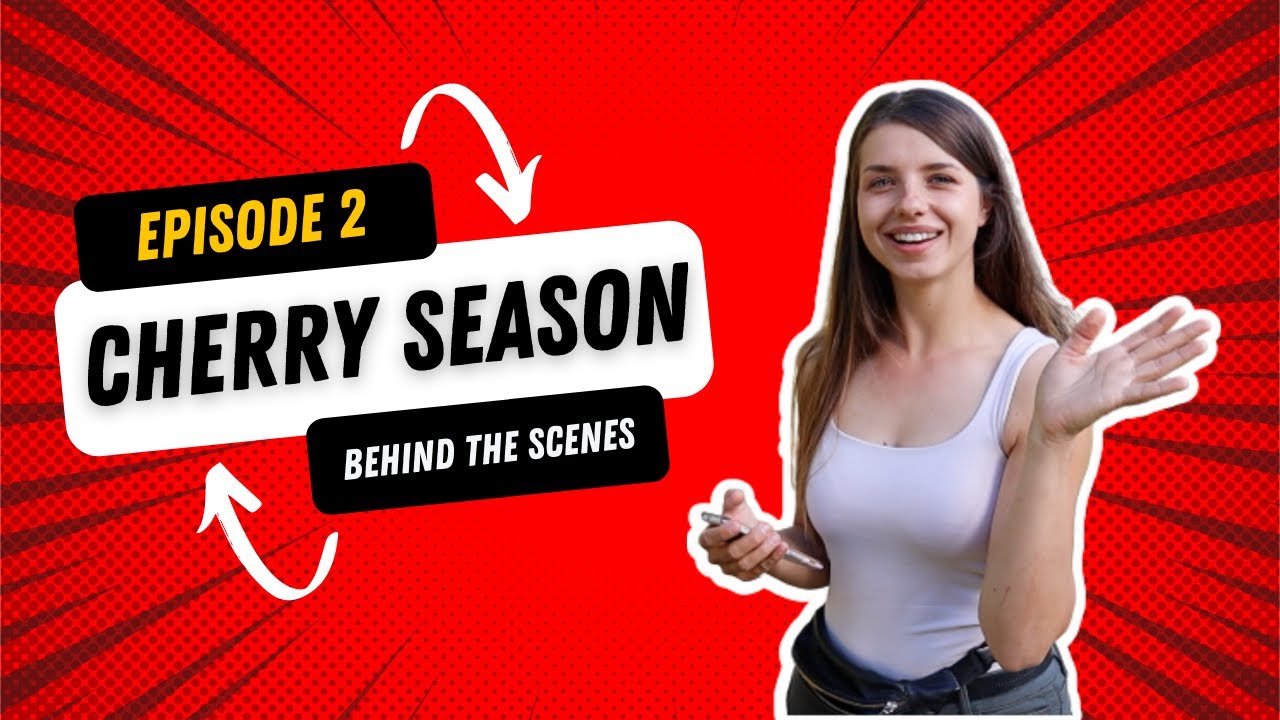 CHERRY SEASON | BEHIND THE SCENES - Ep 2 | New Zealand
