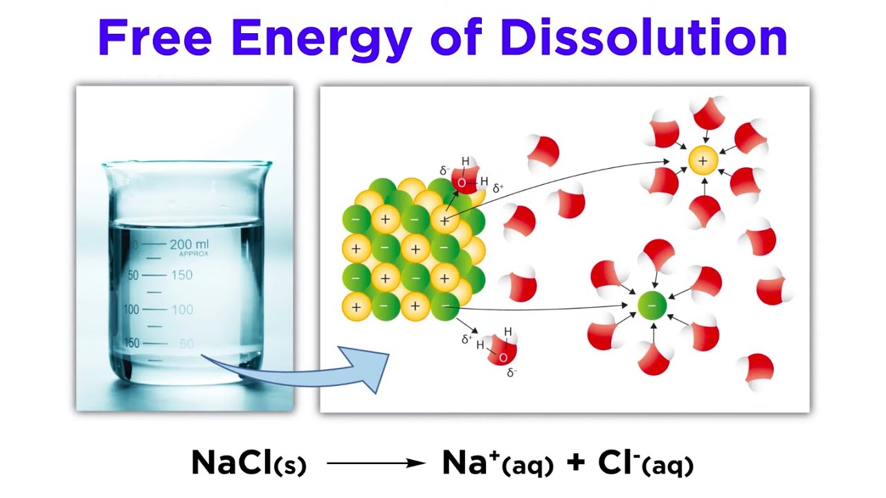 Free Energy of Dissolution