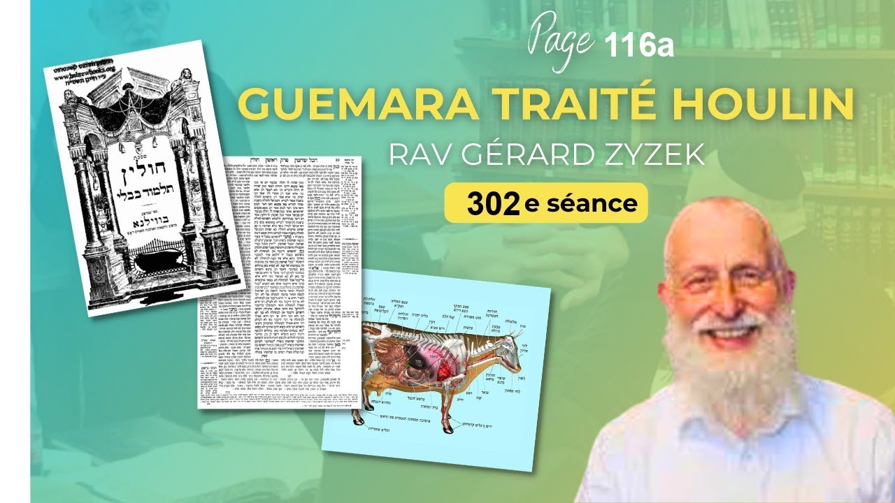 Traité Houlin (302e séance) - page 116a