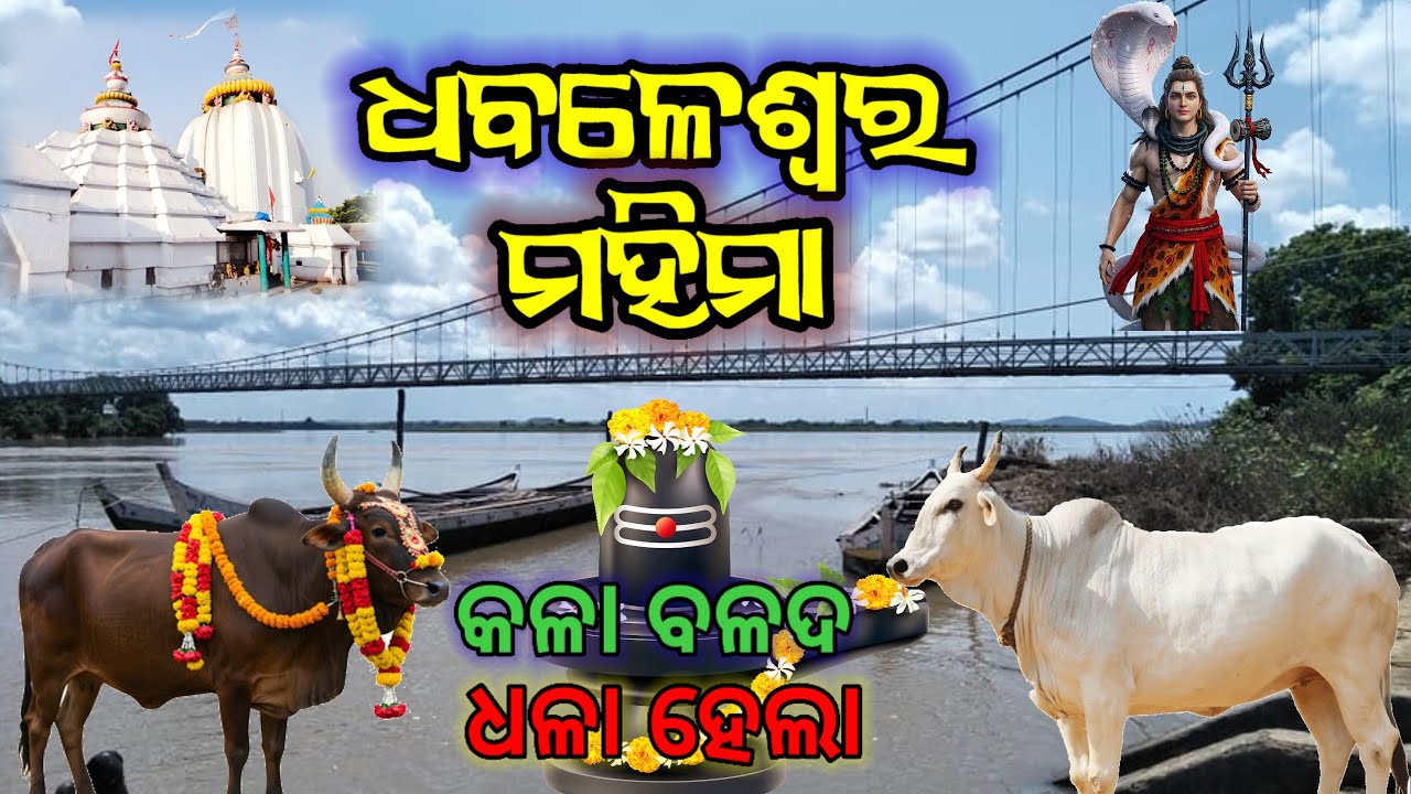 ଧବଳେଶ୍ୱର ମହିମା | ସତ୍ୟ ଘଟଣା | କଳା ବଳଦ ଧଳା ହେଲା | Dhabaleswar Story | True Story