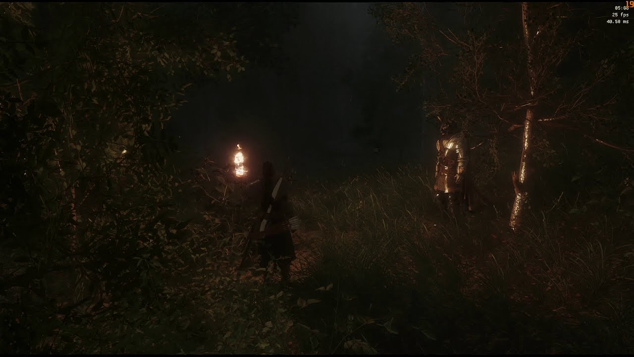Walking through a dense + lush Falkreath Forest with a Torch that casts Shadows: Skyrim Vanilla Plus