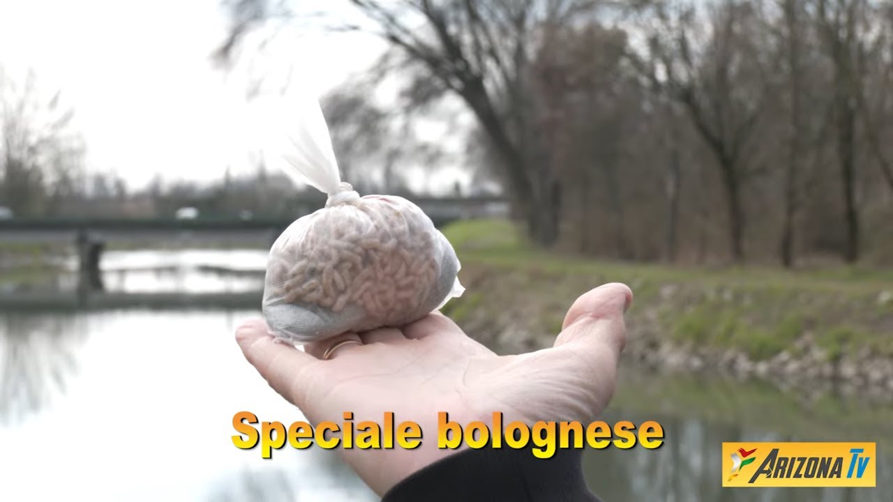 MONDO PESCA - SPECIALE BOLOGNESE - SACCHETTI PVA -  CANALE MUZZA - LODI  - #pescasportiva  #pesca