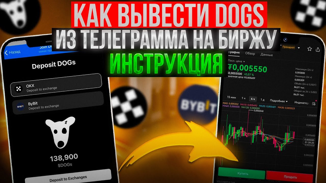 DOGS &mdash; Как вывести из Телеграм на БИРЖУ и ПРОДАТЬ | Вывод и как Перевести монеты ДОГС | Инструкция