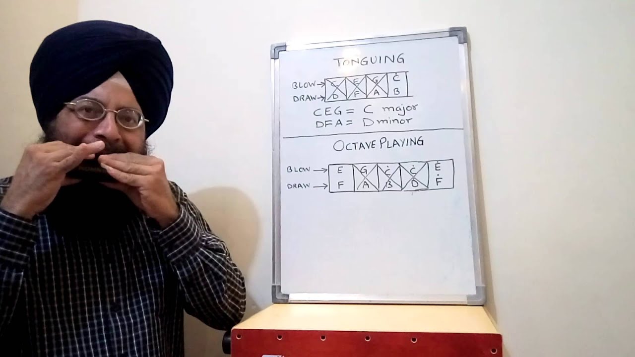 Learn harmonica (Lesson 11) tonguing and octave playing