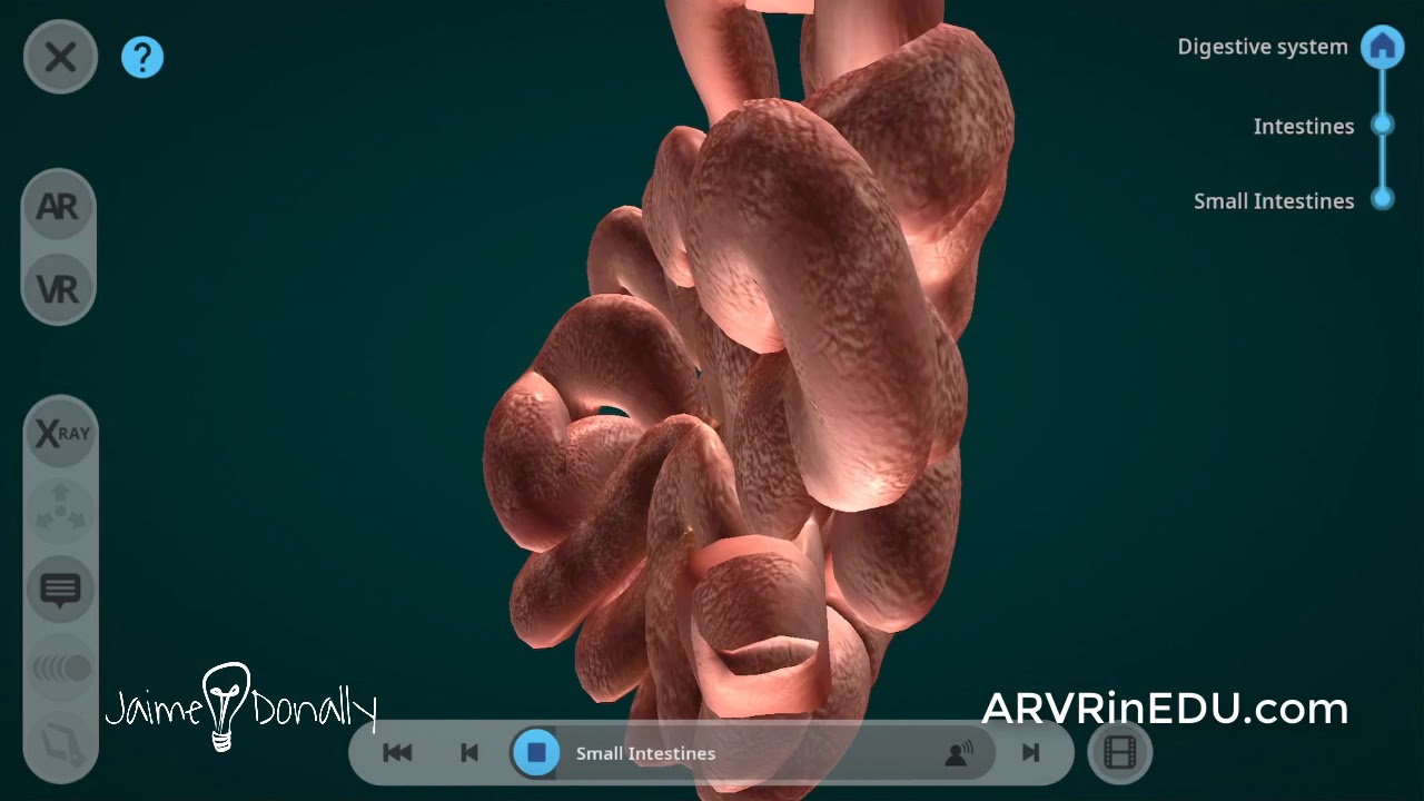 Creator AVR Demo #31DaysofARVRinEDU