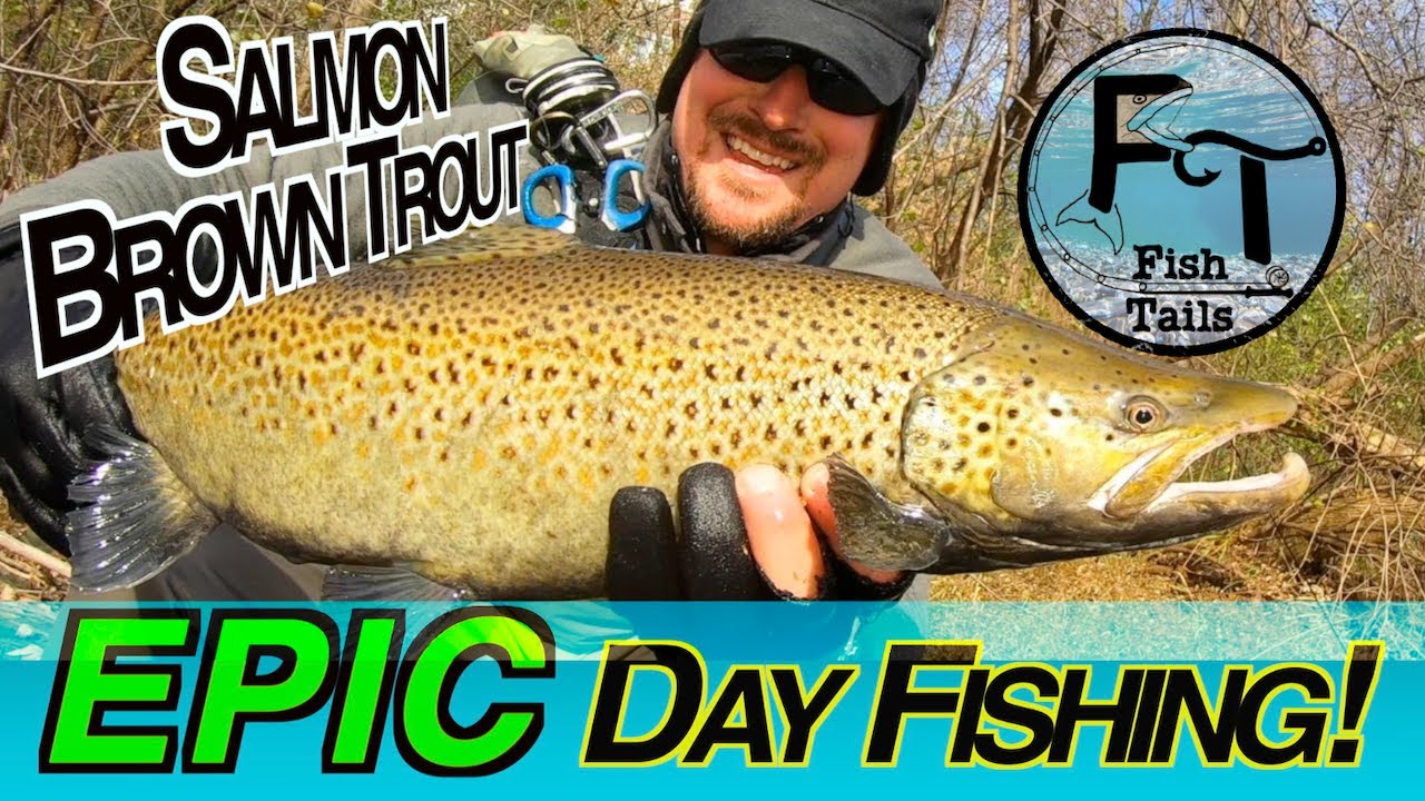 My Best HOUR fishing Milwaukee River (EPIC day!!!) Salmon & Brown Trout 