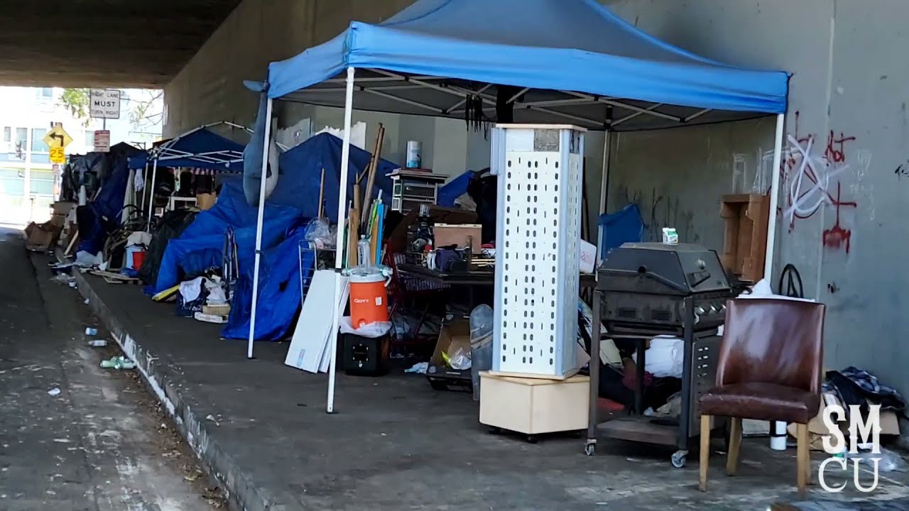 Homeless Encampment Under L.A. Freeway