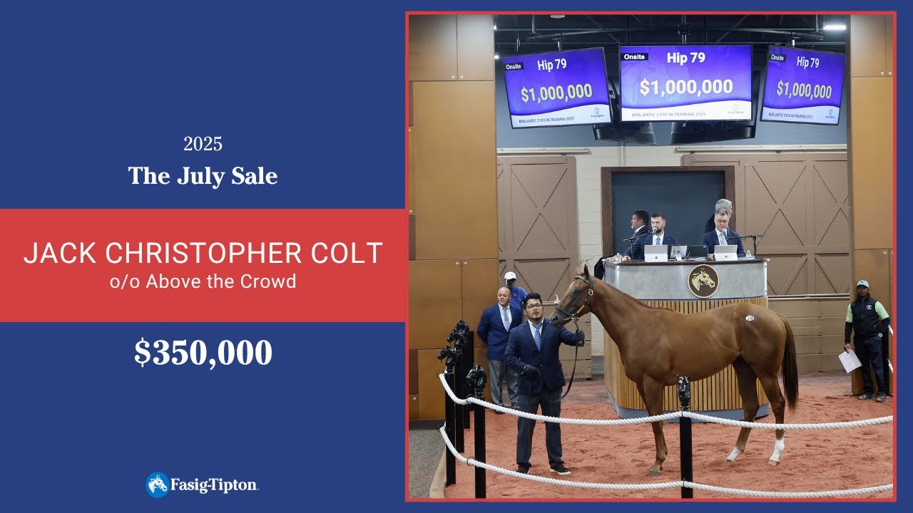 Jack Christopher colt sells for $350,000 at The July Sale (2025)