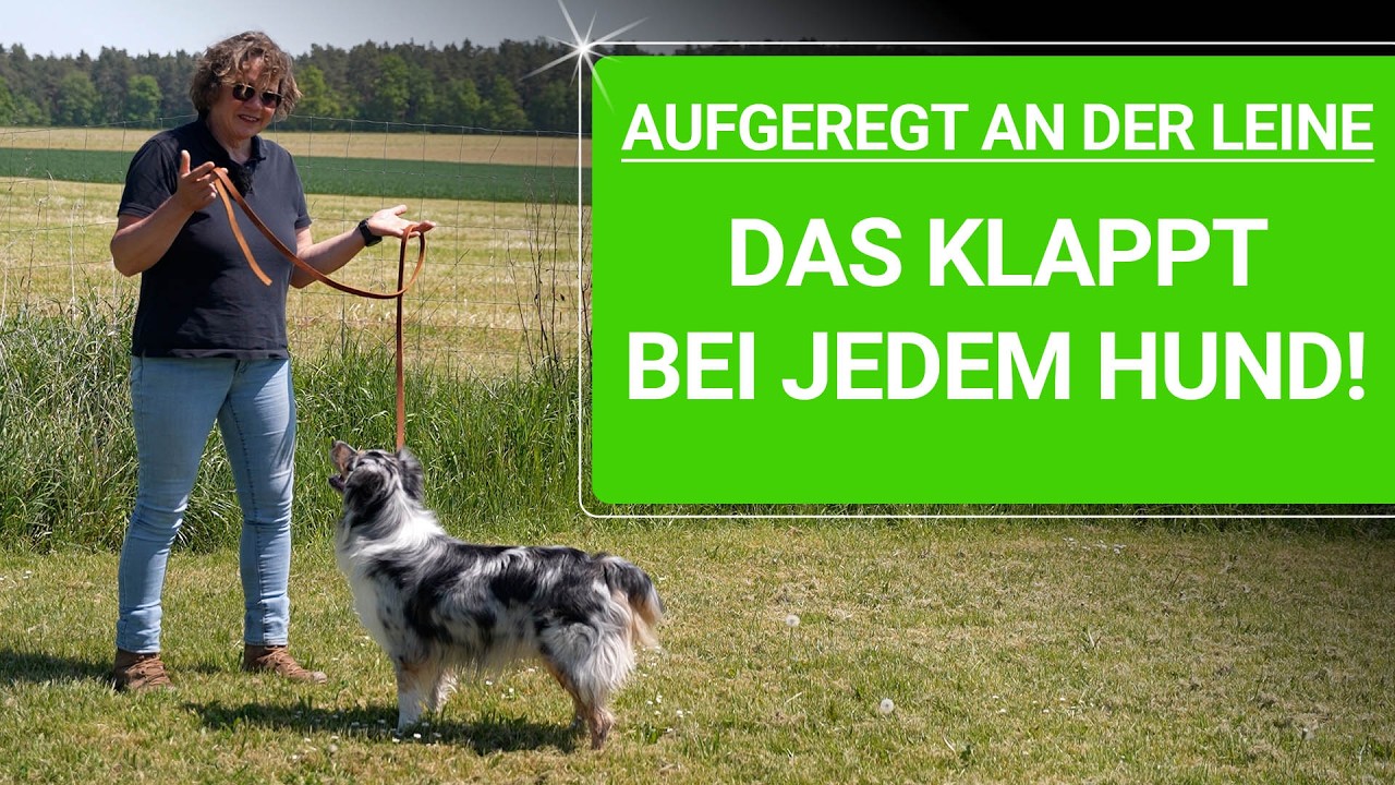 💥🐶 Aufgeregter Hund bei der Leinenführung 👉 Mach es anders...! 🐶💥✔️