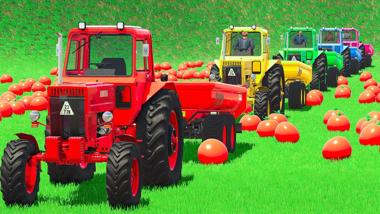 INSANE Belarus Tractor Tomato Race Muddy Water & Full Trailers! FS25