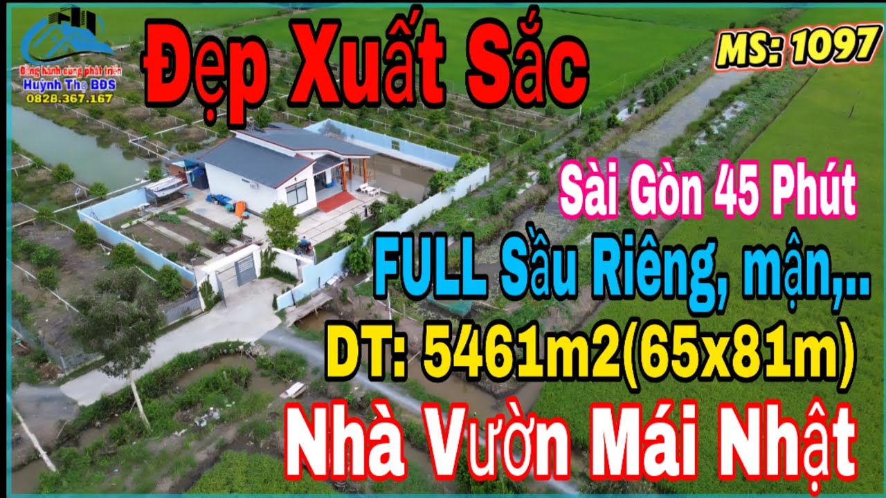 Садовый дом в Лонг-Ан, 5461 м² | Дом на крыше в японском стиле – 140 деревьев дуриана (возрастом ...