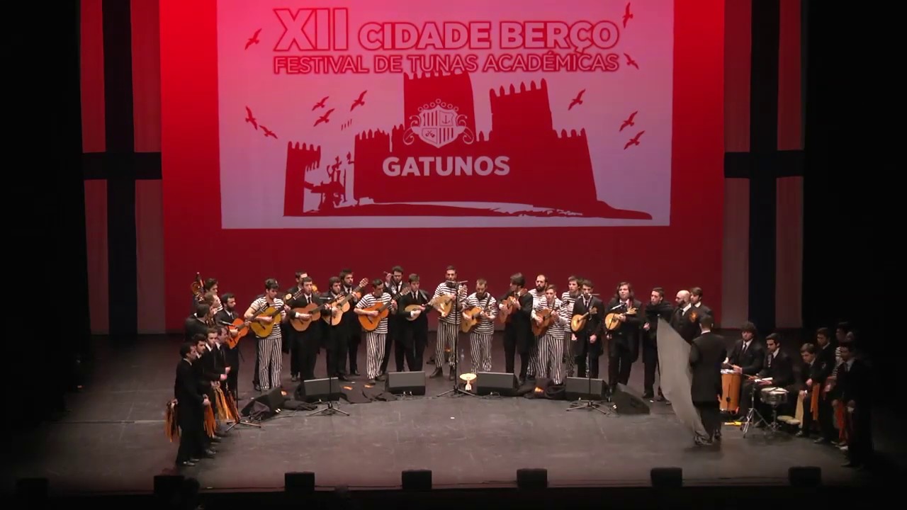 XII Cidade Berço | Gatunos
