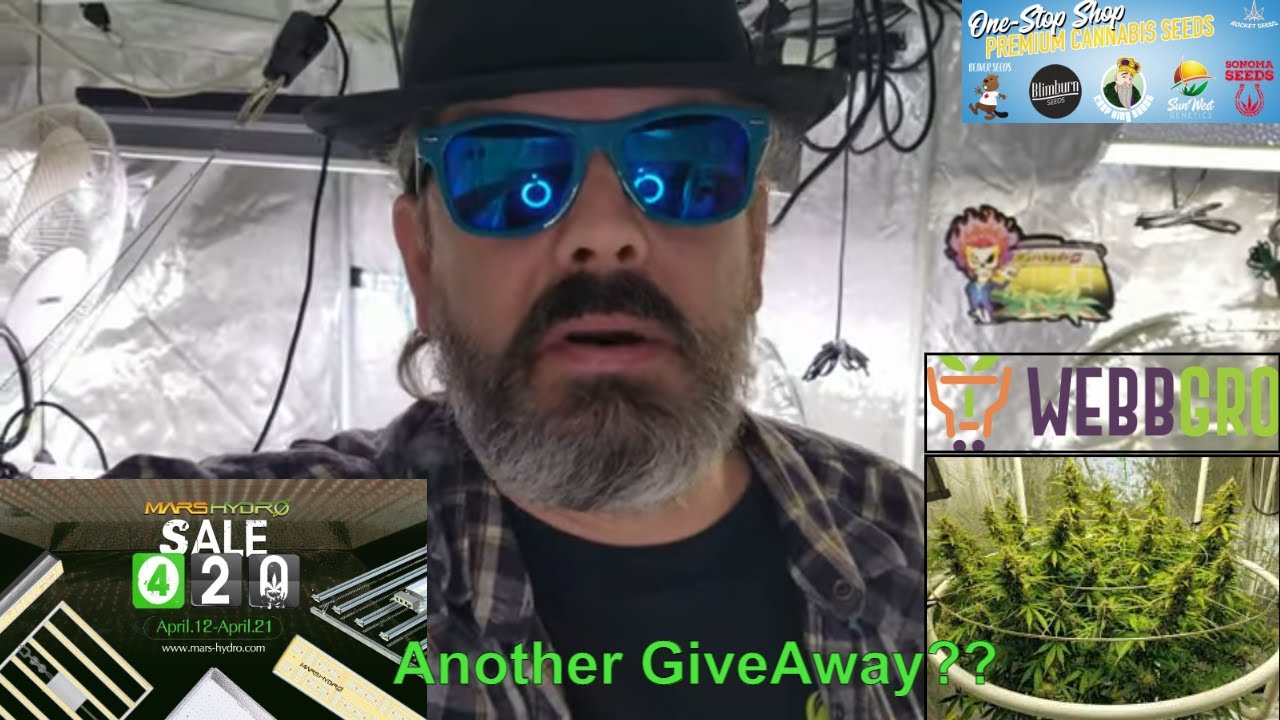 420 Giveaway Winner + Another Giveaway Announced. #SP3000 #RocketSeeds #Webbgro #ILGM