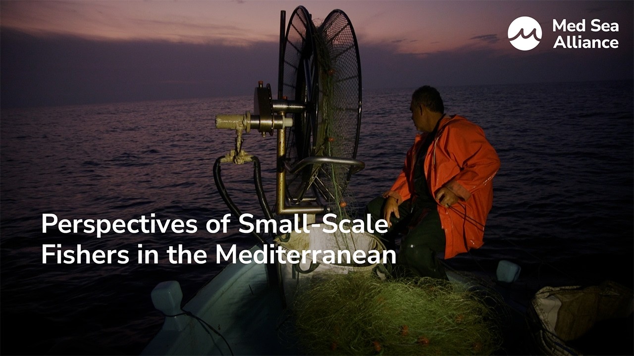 Shortform - Perspectives of Small-Scale Fishers in the Mediterranean