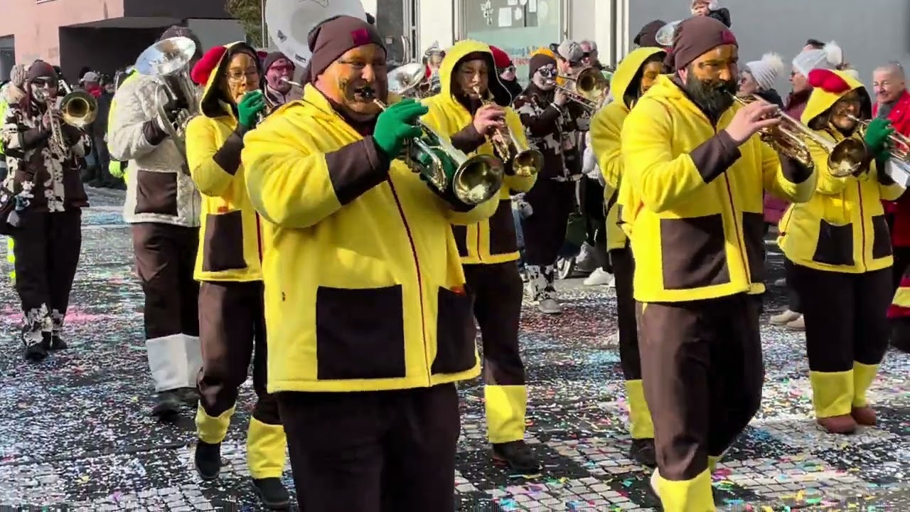 Fasnachtsumzug Gossau SG jan 26