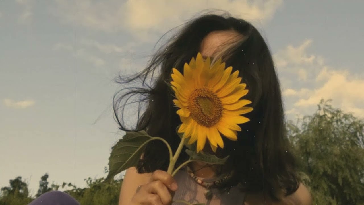 Sunflower by Post Malone but she will never bloom for you again